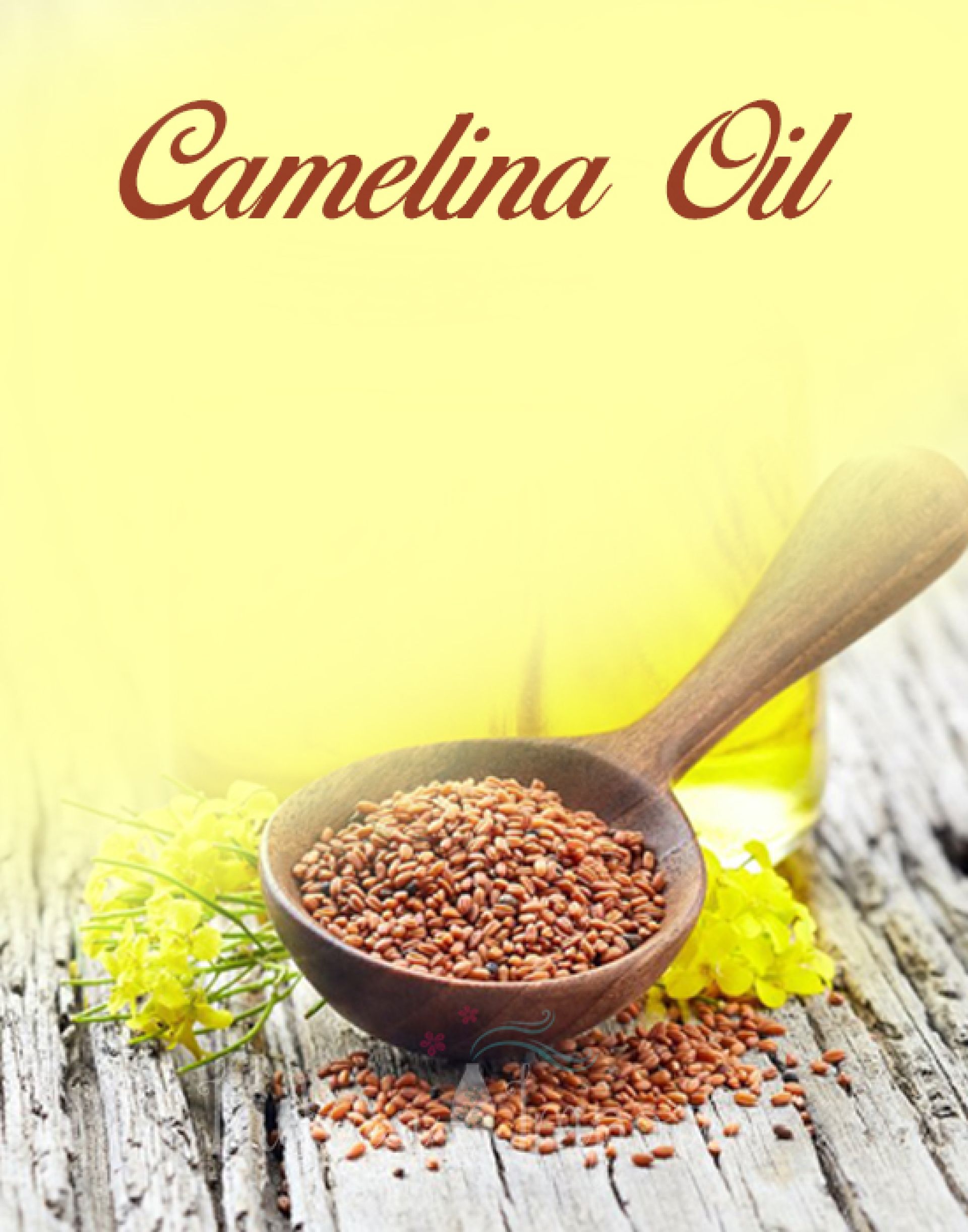 Camelina Oil