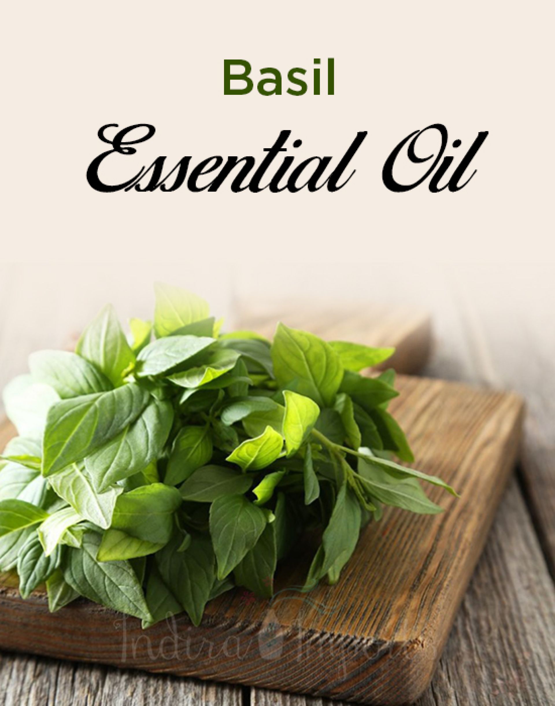 Basil Essential Oil