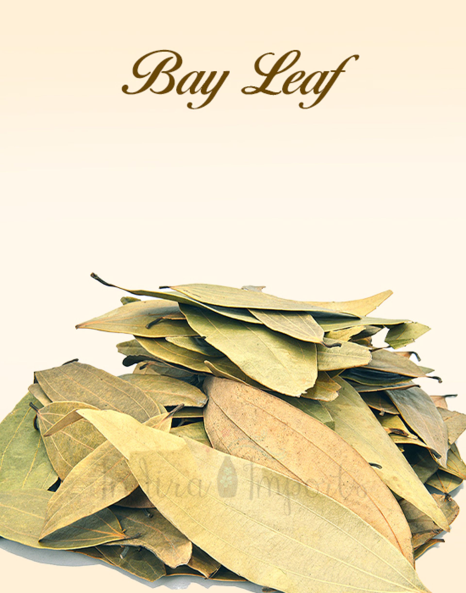 Bay Leaf