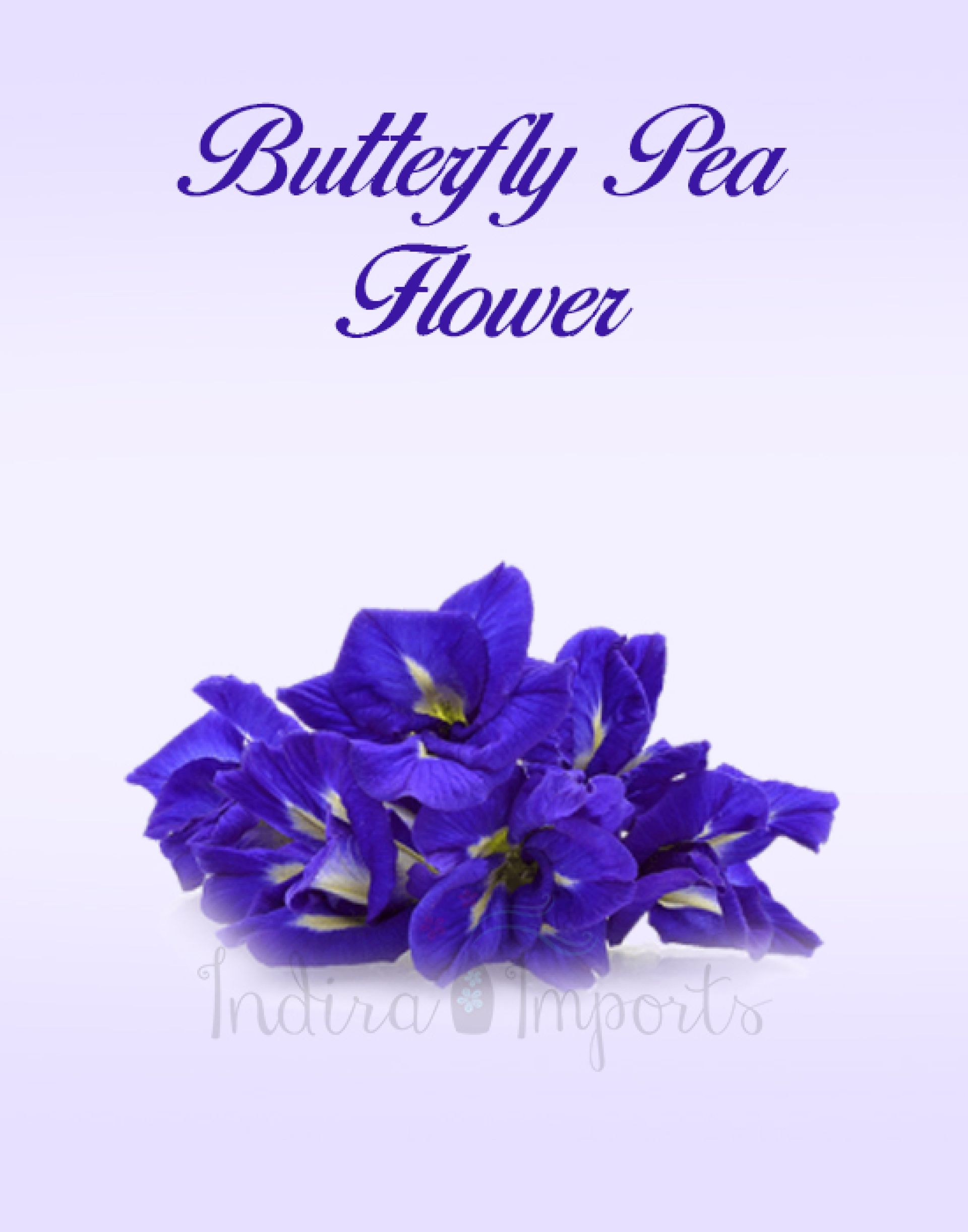 Butterfly Pea Flower