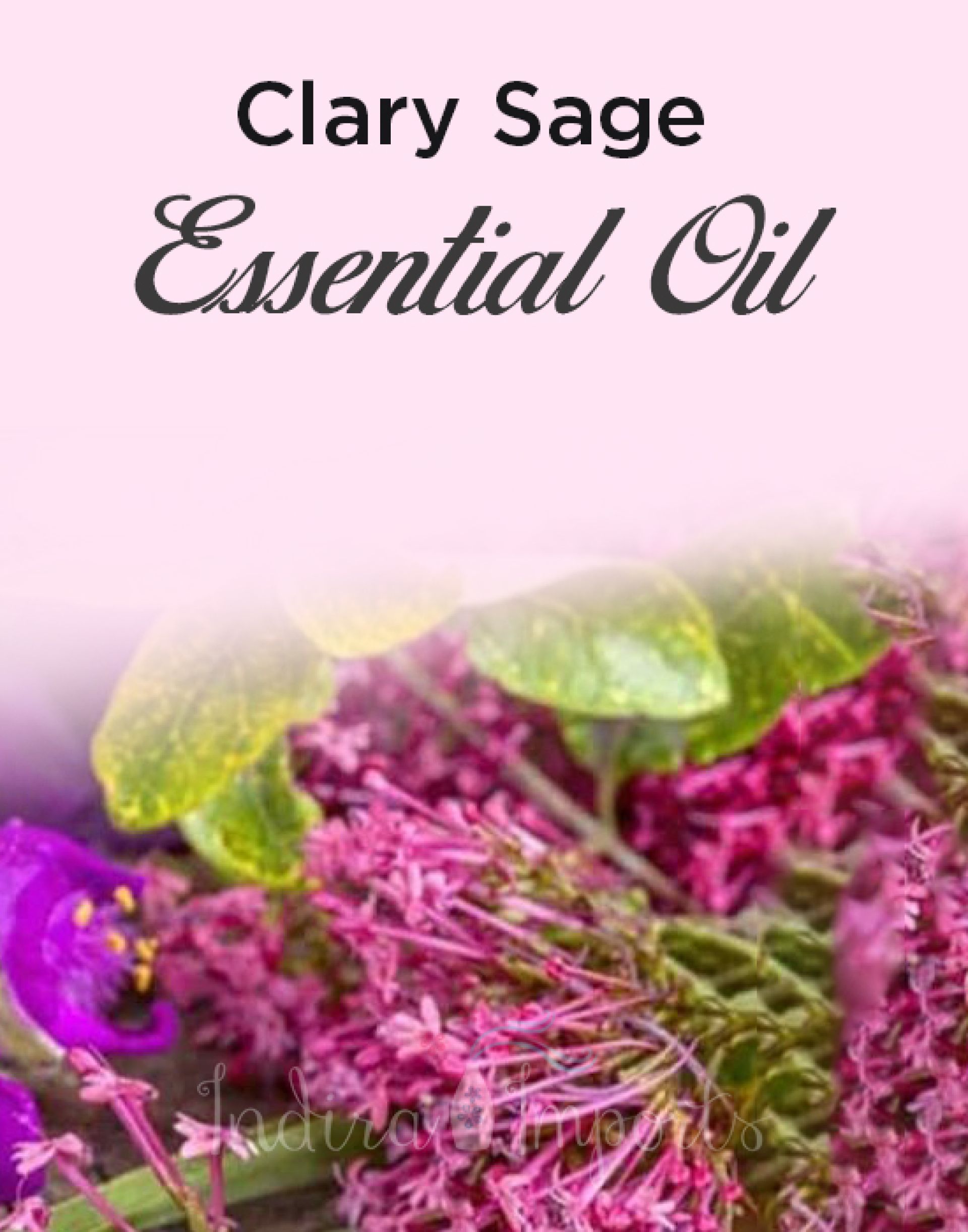 Clary Sage Essential Oil