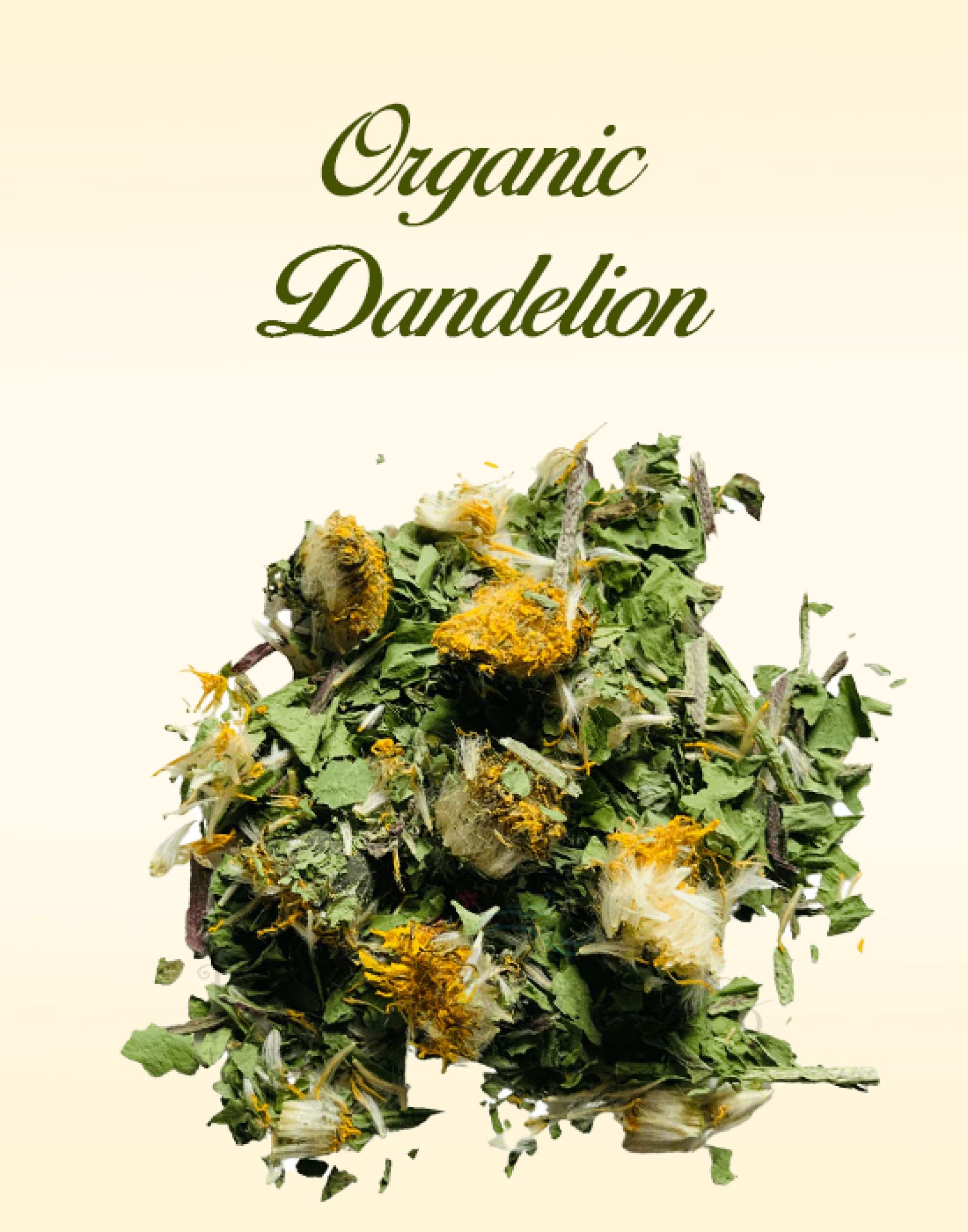 Organic Dandelion