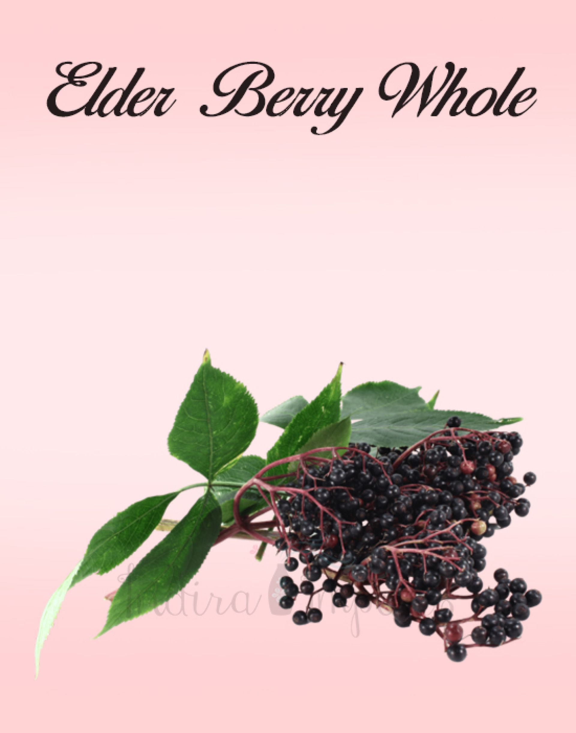 Elder Berry Whole