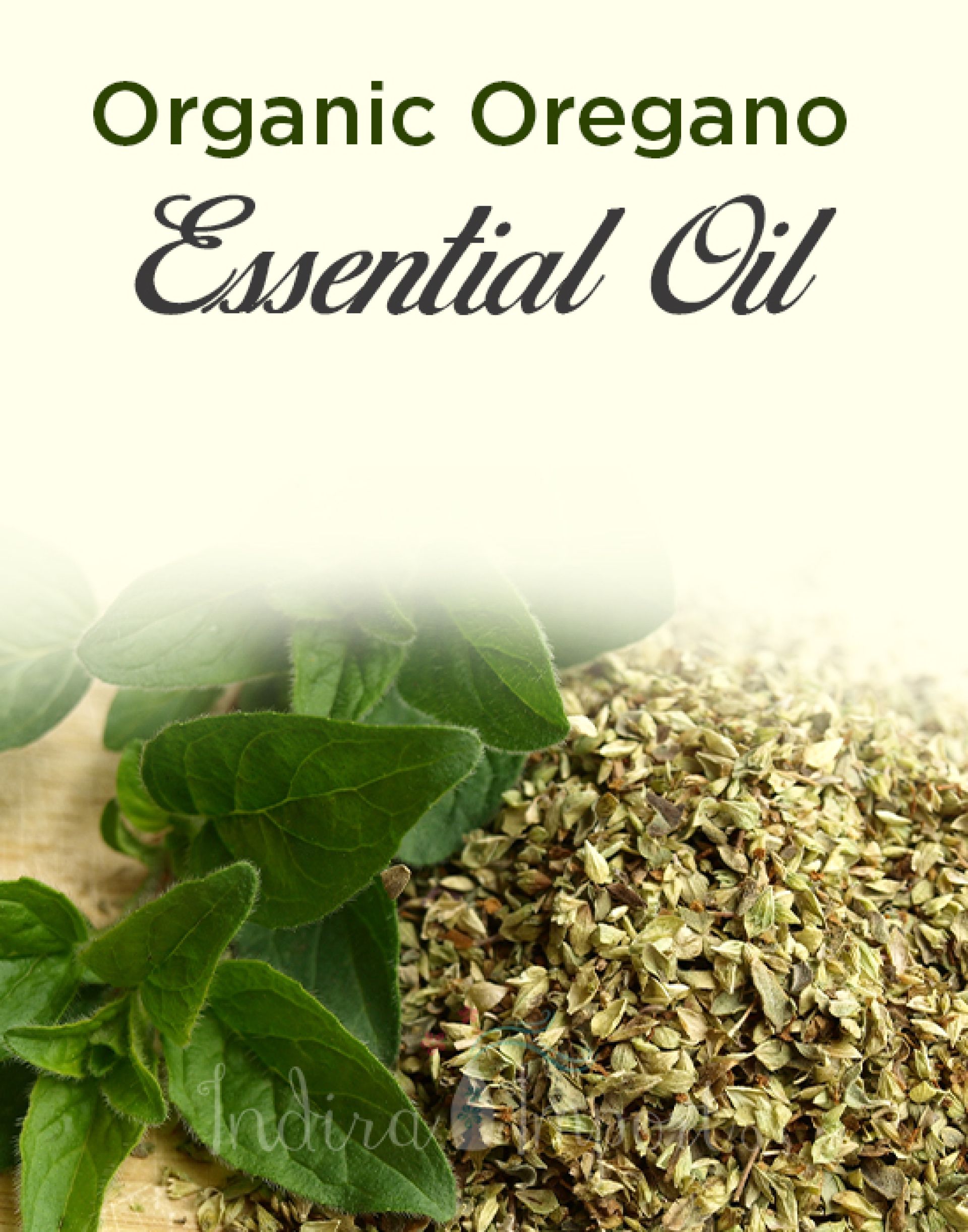 Organic Oregano Essential Oil