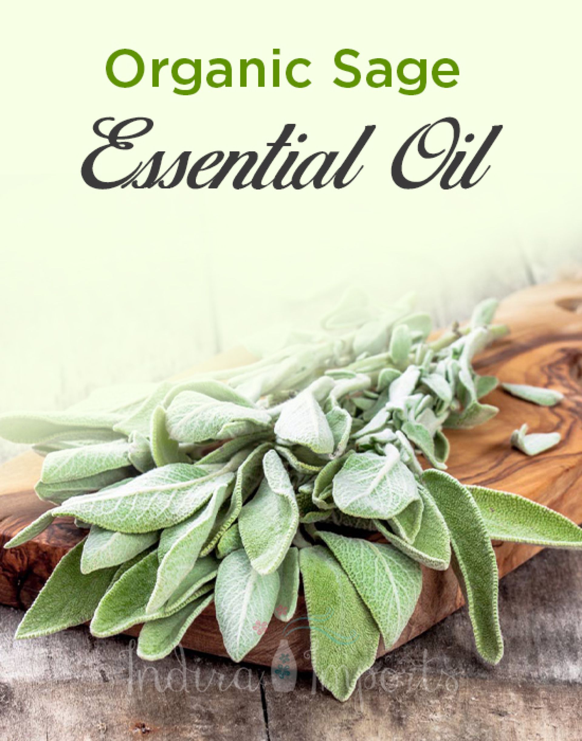 Organic Sage Essential Oil