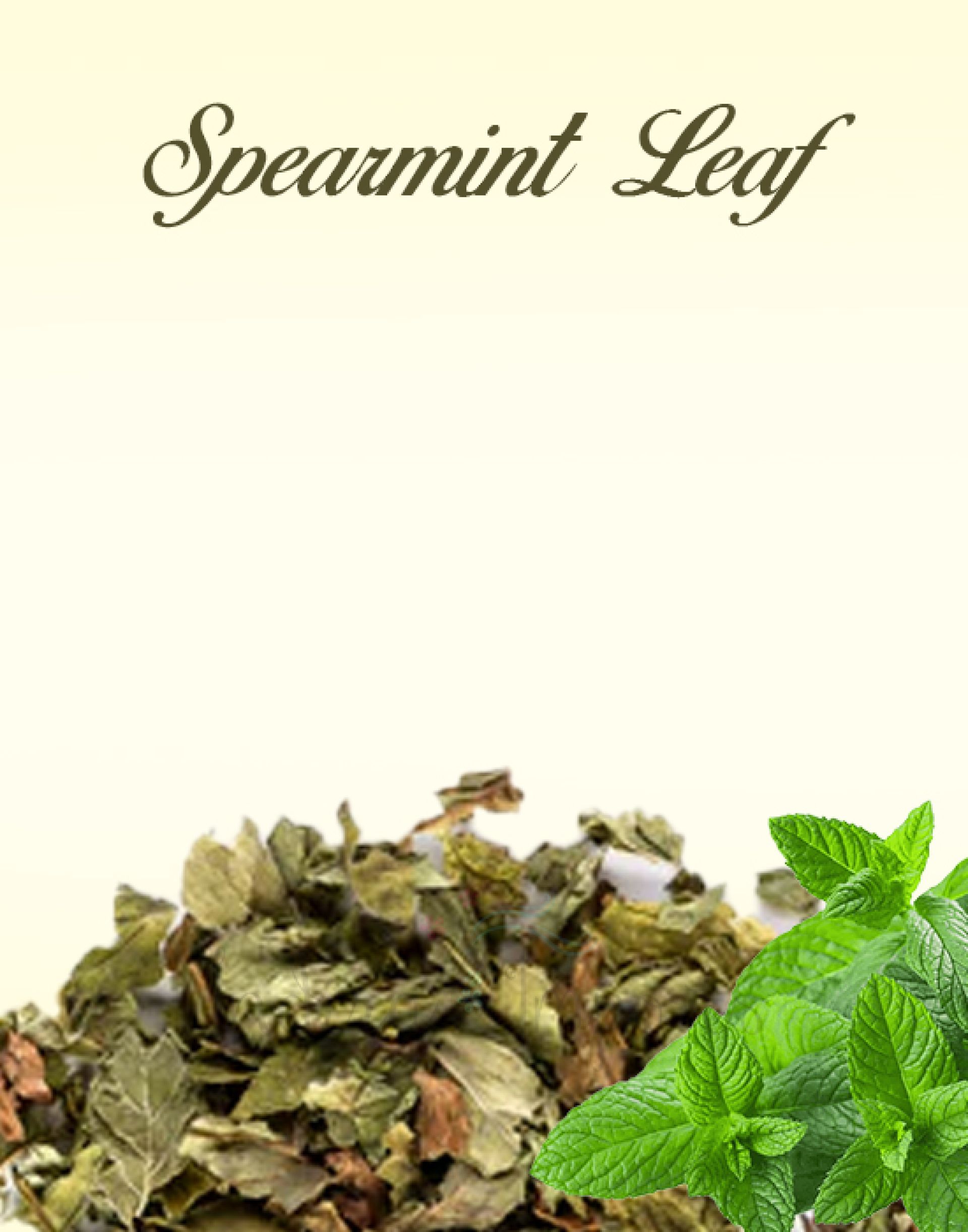Spearmint Leaf