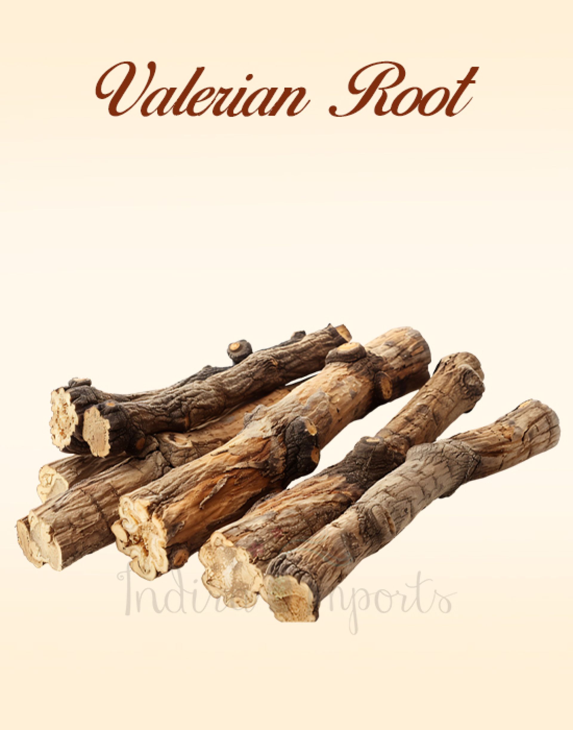Valerian Root