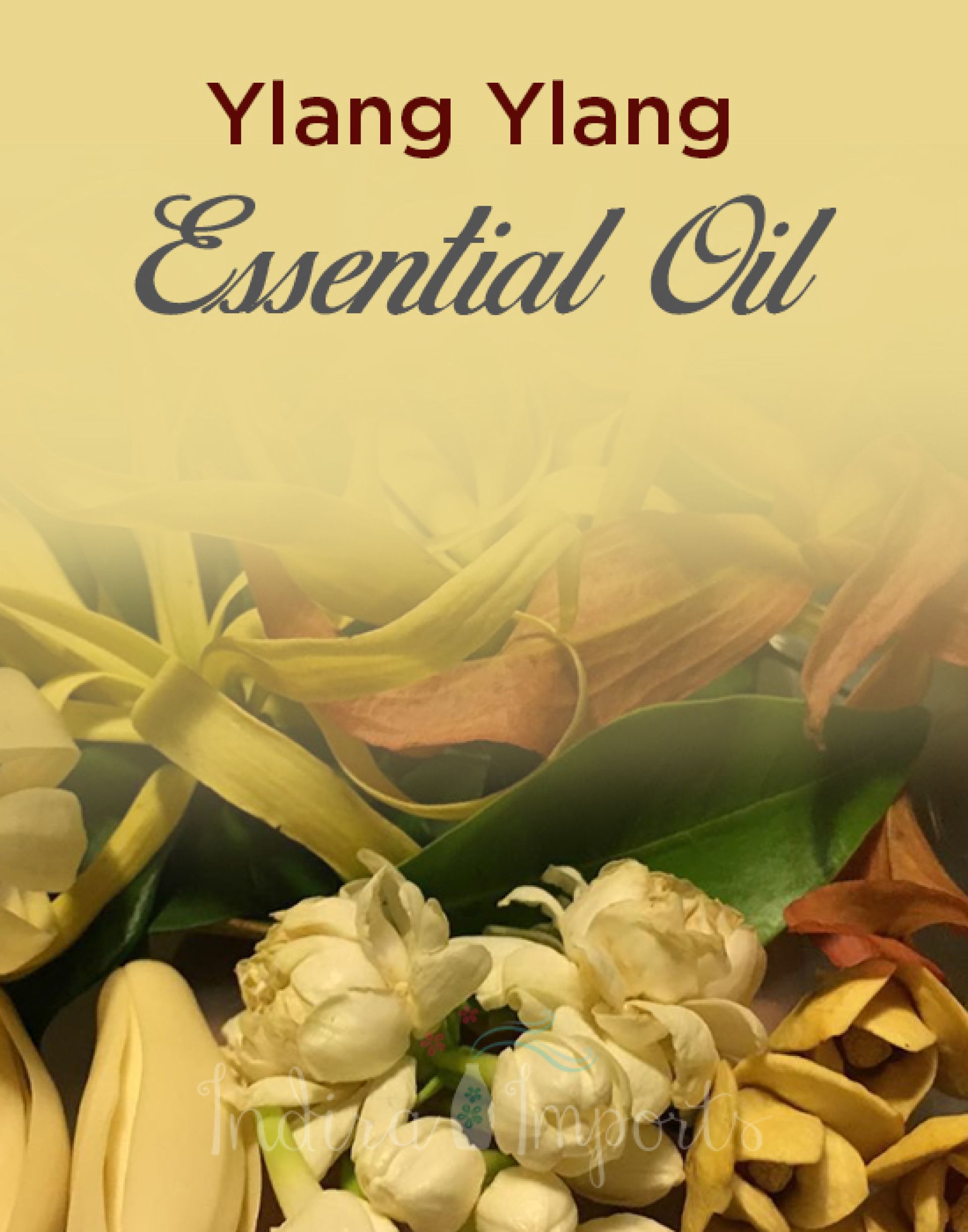Ylang Ylang Essential Oil